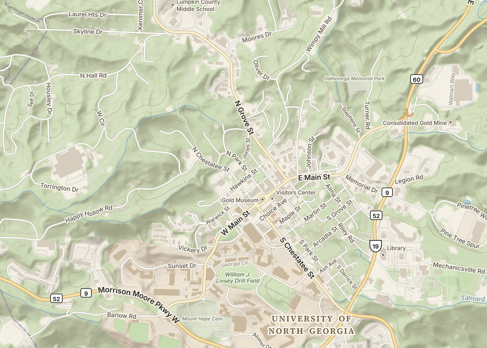 Detail: central Dahlonega